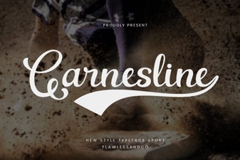 Garnesline Font: Download & Creative Uses