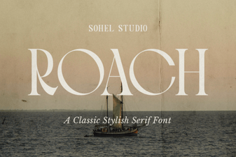 Unlock Creativity with Roach Font Design